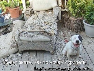 KN.jpg