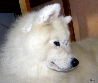 DSCN0849.jpg