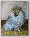 p1010020.jpg