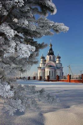 IMG_9984.JPG